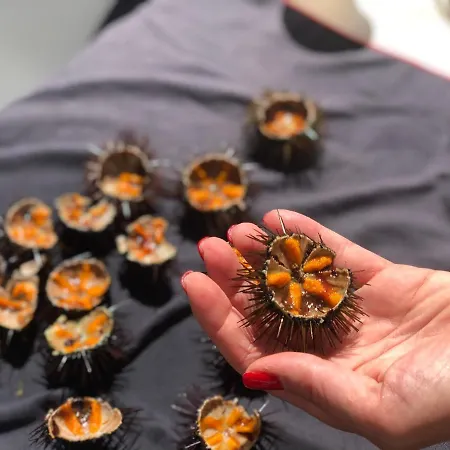 Amantea Monument 4* Terrasini