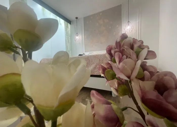 فندق مبيت وإفطار Amantea Monument تيراسيني